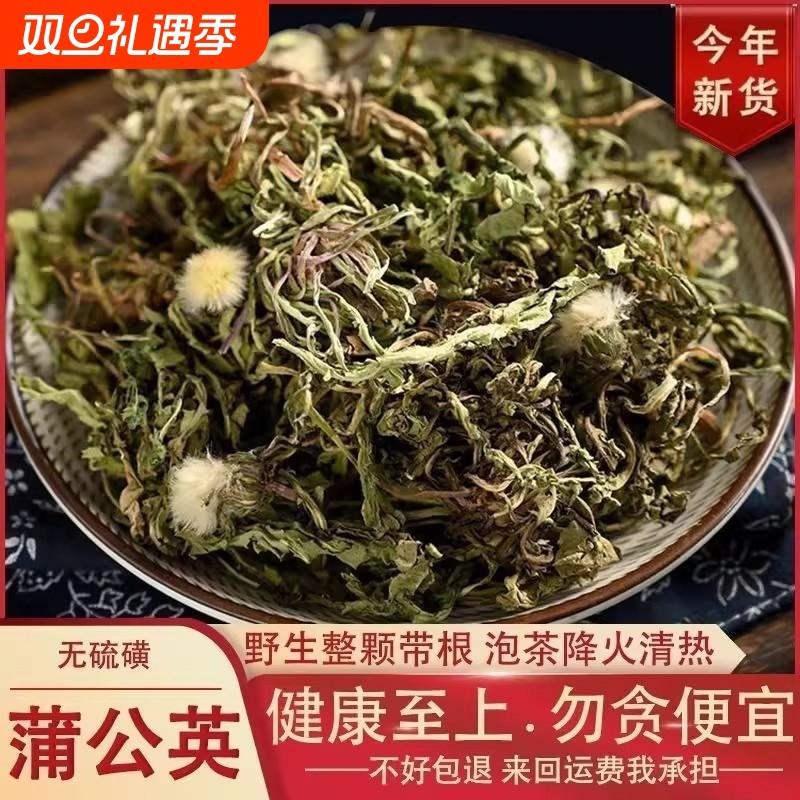 蒲公英带根干货500g新鲜浦公英中药材蒲公英茶不特级野生当季采摘