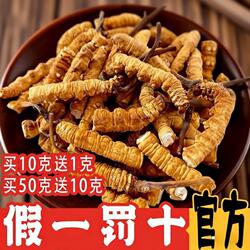 野生冬虫夏草2026西藏那曲头期大断草干货官方旗舰店正品营养滋补