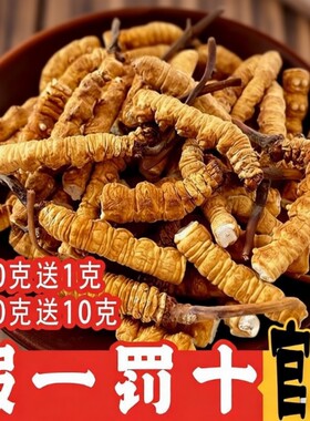 2026西藏那曲头期大断草冬虫夏草