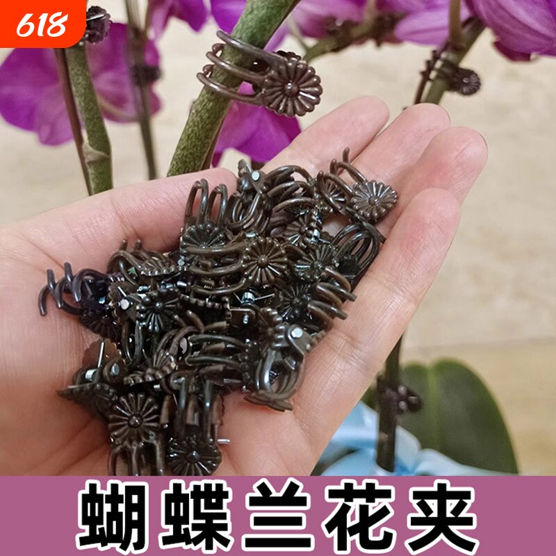 蝴蝶兰花夹子植物爬藤固定夹花卉夹定型防倒伏园艺工具花枝造型