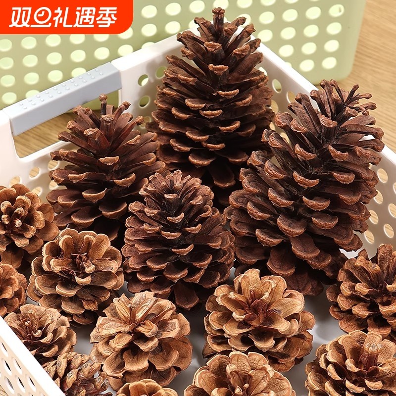 松果球松塔diy材料装饰摆件创意手工天然松树干果幼儿园环创材料