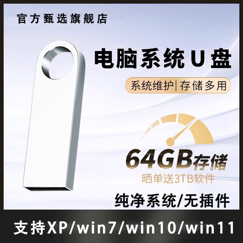 重装系统U盘win10专业版win11