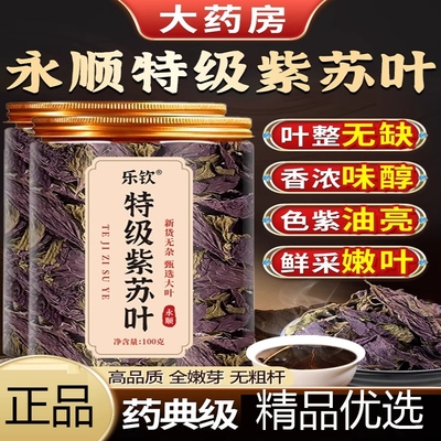 紫苏叶新鲜食用紫苏叶中药房材的功效与作用泡水喝官方旗舰店LH1