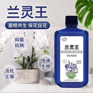 兰灵王兰花专用肥营养液肥料活化剂em菌药蝴蝶兰科兰陵王微生物