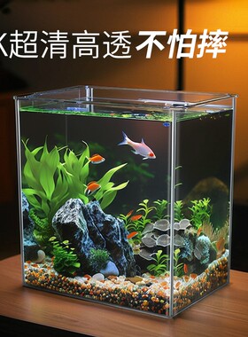 鱼缸新款客厅过滤桌面生态制氧小型造景亚克力带盖乌龟饲养缸底部