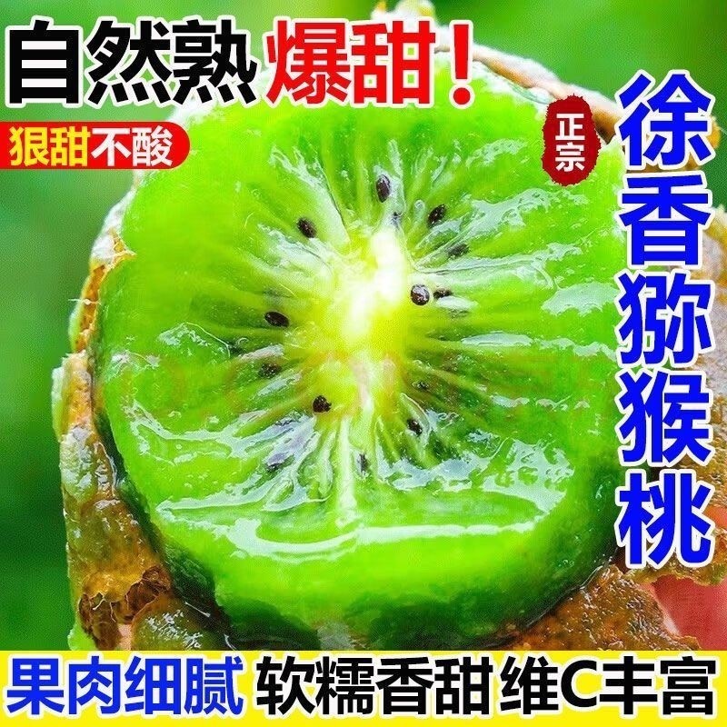 岭上味语正宗徐香猕猴桃头茬新果新鲜采摘绿心奇异果产地直发,水产肉类/新鲜蔬果/熟食,奇异果/猕猴桃,淘宝优惠券,粉丝福利购,淘宝优惠卷