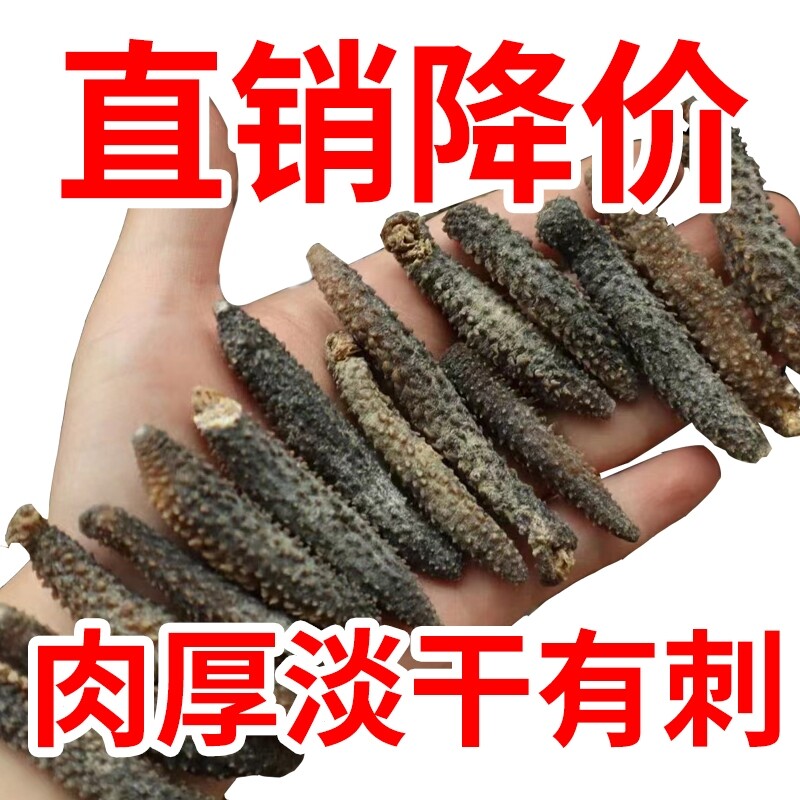 淡干野生海参干货500g散装海生海参海深孕妇非鲜活即食辽刺参水产