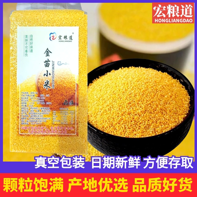 敖汉小米25年新米小黄米500g内蒙古赤峰食用杂粮大金苗k1黄金苗