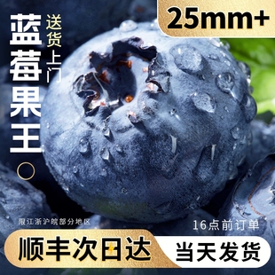 云南蓝莓鲜果新鲜水果当季蓝梅现摘高山怡颗孕妇大果整箱顺丰包邮