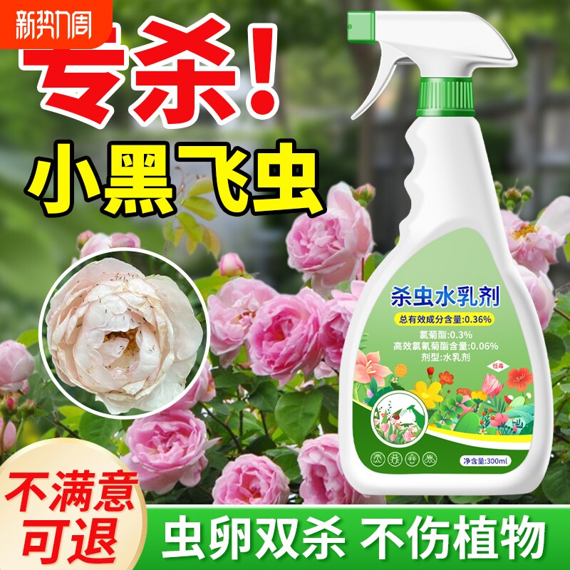 小黑飞杀虫剂小飞虫花卉除虫剂灭土壤植物专杀非室内家用草花
