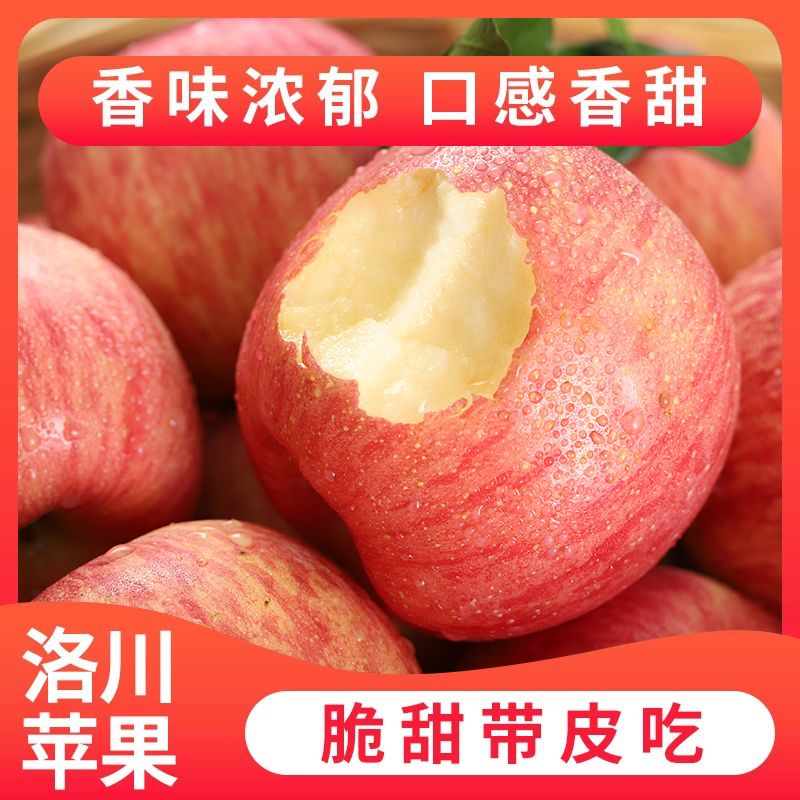 正宗洛川苹果陕西当季脆甜红富士新鲜当季现孕妇水果冰糖批发整箱