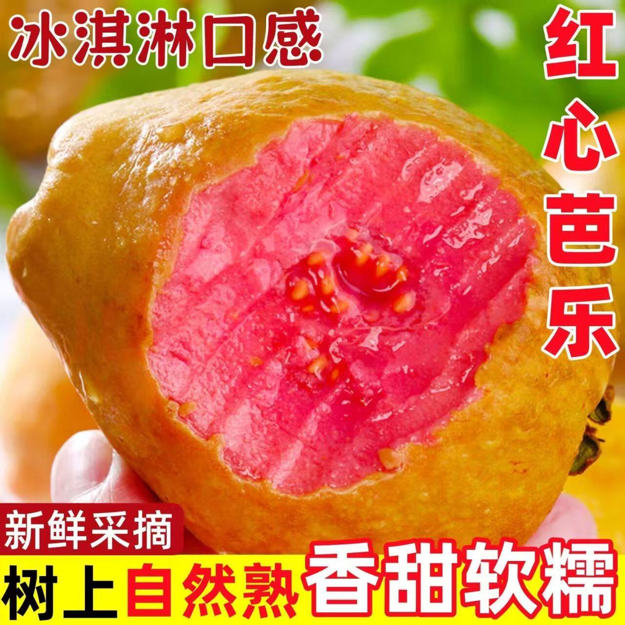顺丰包邮福建红心芭乐5斤新鲜水果番石榴软糯胭脂红0软心低糖减脂