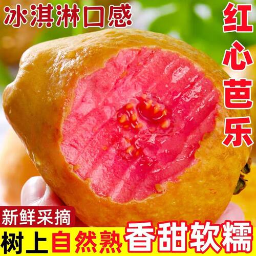 【顺丰包邮】福建红心芭乐5斤新鲜水果番石榴脆甜软糯胭脂红0