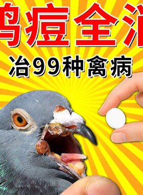 鸽痘专用药特效赛鸽幼鸟眼皮嘴角爪子长豆瘤脓一片清治疗预防大全
