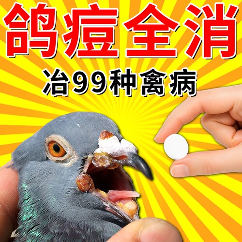 鸽痘专用药特效赛鸽幼鸟眼皮嘴角爪子长豆瘤脓一片清治疗预防大全