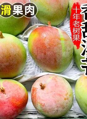 【爆甜】正宗云南澳芒新鲜彩虹芒苹果芒当季大青芒果水果批发整箱