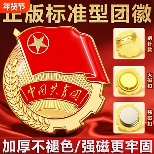 团徽2cm强磁磁吸胸针新版标准正版安全别针大磁铁中国共青团员徽章青年学生用不易褪色监制学校批发团购7新款