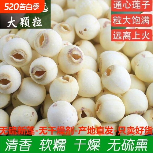 湘潭莲子干货500g去芯新货莲子干货一级无硫野生莲子新鲜磨皮莲子