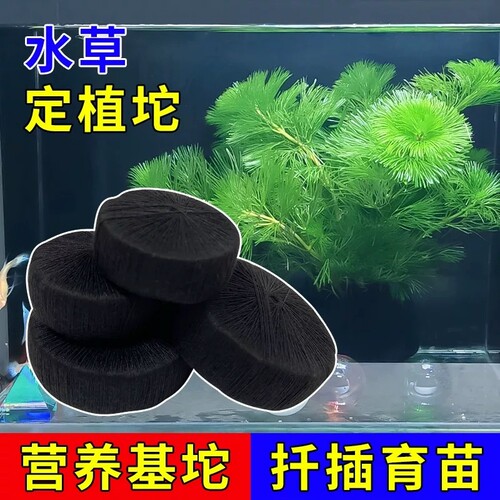 鱼缸水草定植坨基泥坨