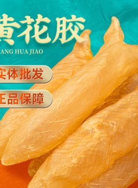 野生花胶干货鱼胶孕妇正品月子黄花筒胶女性养颜补品炖汤鱼肚鱼泡