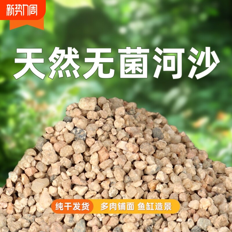 河沙养花专用天然精筛粗沙细沙鱼缸底砂多肉君子兰配土铺面石