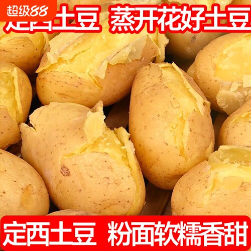 2026年定西土豆应季新鲜甘肃沙面马铃薯洋芋蔬菜黄皮黄心整箱
