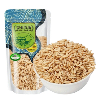 盖亚农场有机生燕麦米450g  农家自种