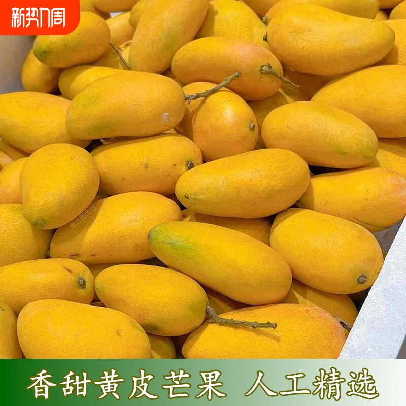 精选黄皮小芒果水果薄皮核小台芒果水果坏果包赔小台农芒新鲜