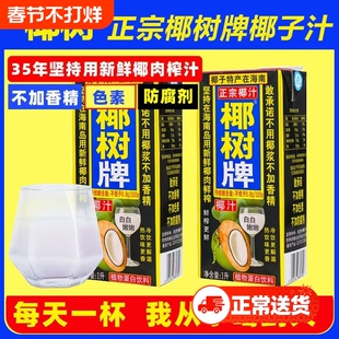 正宗椰树牌椰子汁1L装植物饮料大盒装椰汁鲜榨新鲜