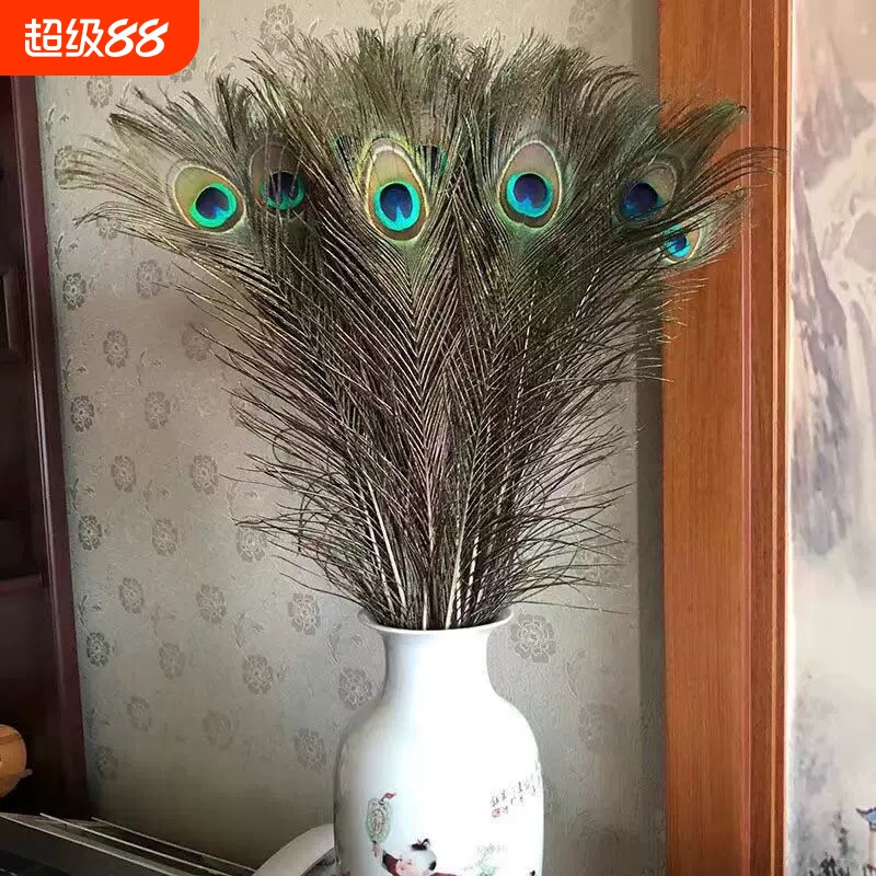 天然真孔雀羽毛翎尾大眼睛客厅摆件花瓶插花装饰品DIY配件孔雀毛