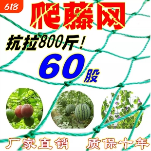 植物爬藤网丝瓜豆角苦瓜月季攀爬网蔬菜百香果专用种植网瓜果花园