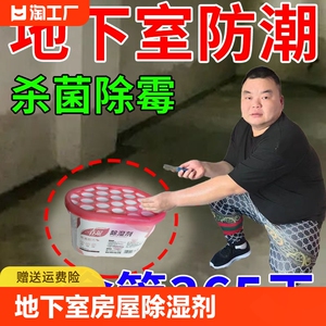 干燥剂地下室房屋除湿干燥剂防潮防霉除臭厕所米桶宿舍家用除霉味