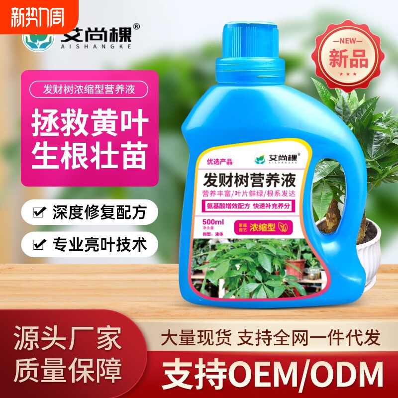 棵发财树浓缩营养液盆栽植物绿植花卉观叶专用花肥料生长黄叶绿叶