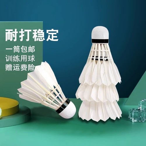 羽毛球正品耐打王室内室外训练用球6只装12只装防风稳定不易打烂