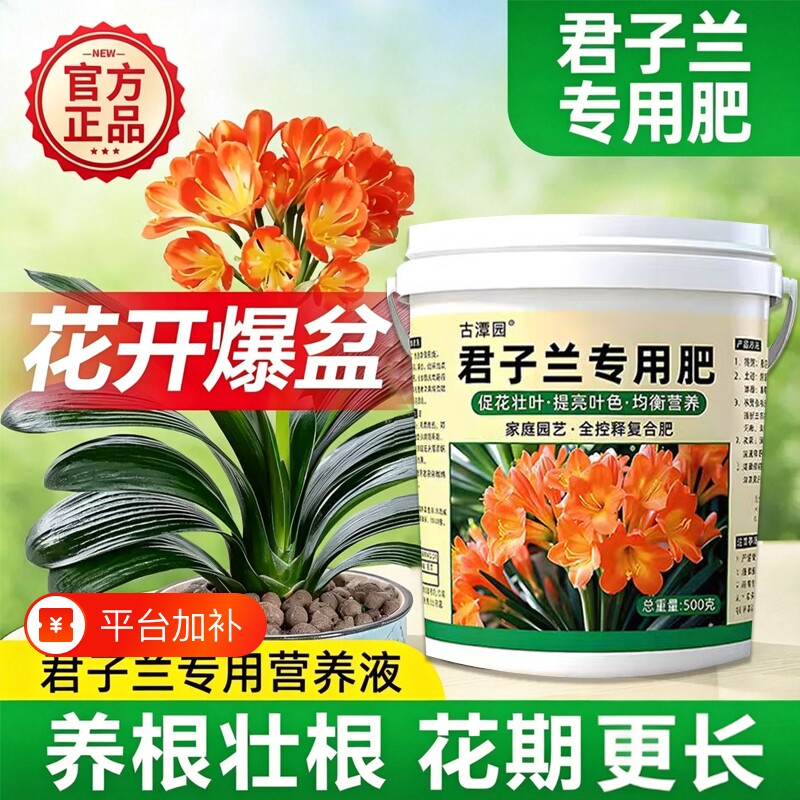 君子兰肥料专用肥促开花营养液水培拔箭催花治黄叶家用花卉盆栽肥
