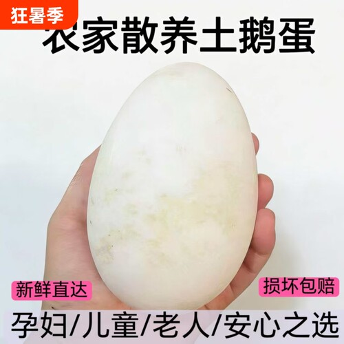正宗新鲜散养土鹅蛋天然健康孕妇