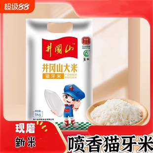 长粒猫牙大米江西软糯香甜米新品上市生态袋装一级井冈山新米