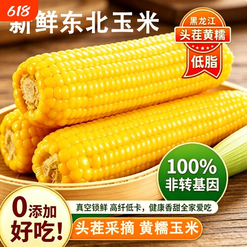 东北黄糯玉米香甜软糯新鲜玉米黑土种植产地直发真空包装加热即食