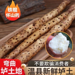 河南焦作温县垆土铁棍山药中医推荐 催乳现挖粉糯带食谱新鲜怀山药