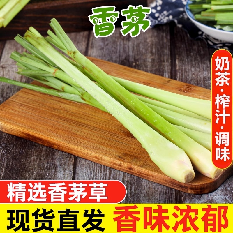 香茅草新鲜柠檬草泰式冬阴功汤料奶茶店食用香料泰国料理香矛原料