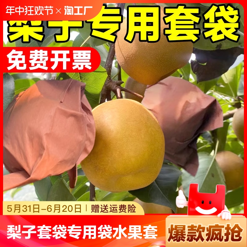 梨子套袋专用袋水果果树防虫黄金梨晚秋黄梨袋果袋秋月梨固定