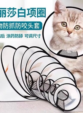 伊丽莎白圈猫狗术后项圈绝育围脖防舔防抓罩宠物猫狗清洁圈多规格