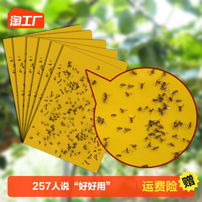 粘虫板大棚专用黄板双面小黑飞果蝇诱捕器诱虫板贴纸家用防雨防水怎么样,好用不?