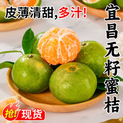 宜昌蜜桔新鲜水果3/5/9斤青皮蜜橘应季早熟橘子无籽桔子整箱包邮
