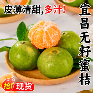 宜昌蜜桔新鲜水果3/5/9斤青皮蜜橘应季早熟橘子无籽桔子整箱包邮