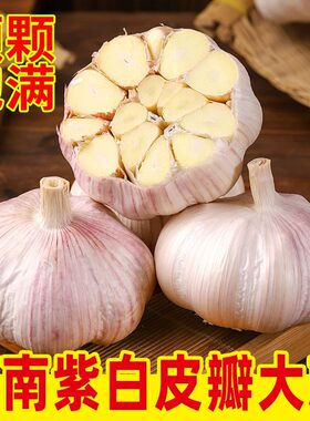 农家自种超大果新干蒜紫白皮大蒜头瓣大肉厚包邮
