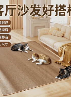 地垫垫子防滑四季通用地毯猫垫入户客厅灰色免洗耐脏玄关剑麻浴室