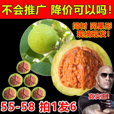 赌青皮文玩核桃把玩精品四座楼狮子头官帽三棱蛤蟆头苹果园野生