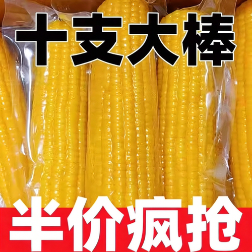 东北新鲜黄糯玉米真空装加热即食粘苞米粒甜糯玉米黄玉米低脂粗粮