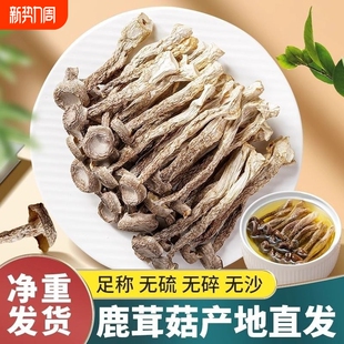 精品鹿茸菇古田特产干货鹿茸菌批发无硫新鲜煲汤嫩菇 2024新菇